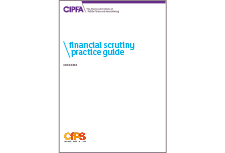 Financial scrutiny practice guide